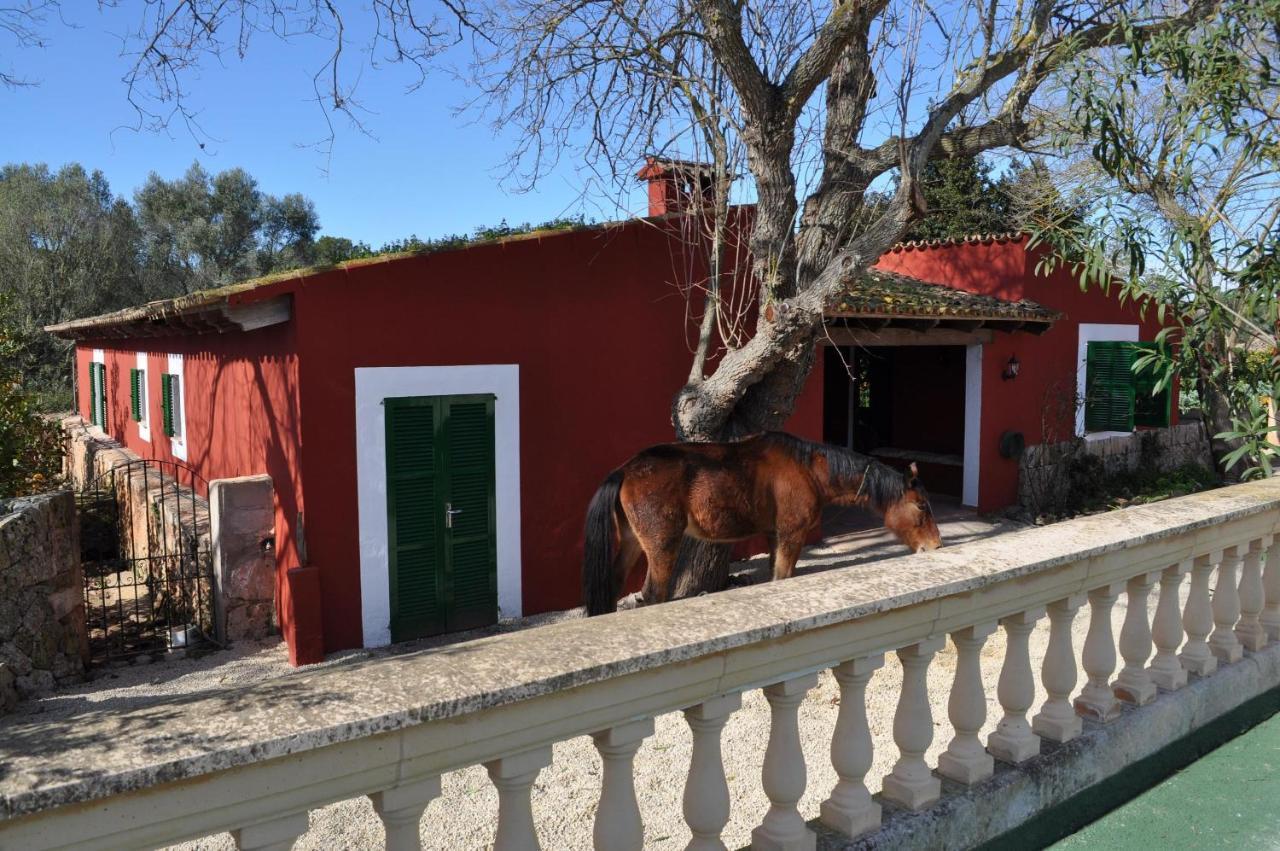 Villa Son Amora *