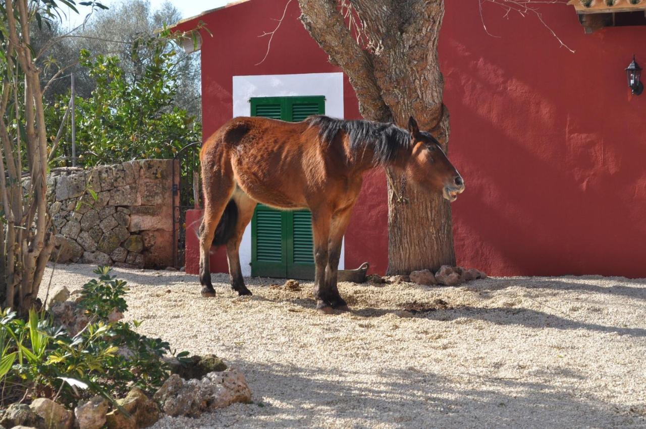 Son Amora Villa